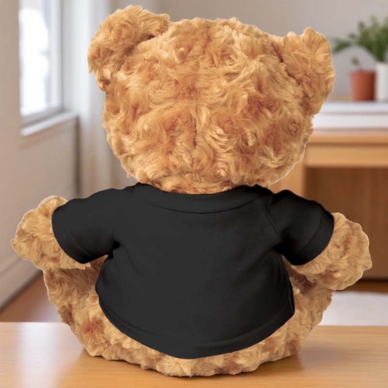 Personalized Photo Teddy Bear Plush – Meaningful Memorial or Graduation Gift – Walking Beside You On Graduation Day