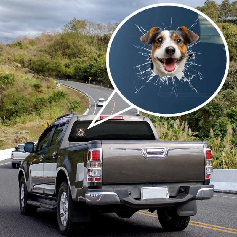 Personalized Photo RV Decal – Gifts For Dog Cat Lovers, Owners – Too Cool To Stay Inside