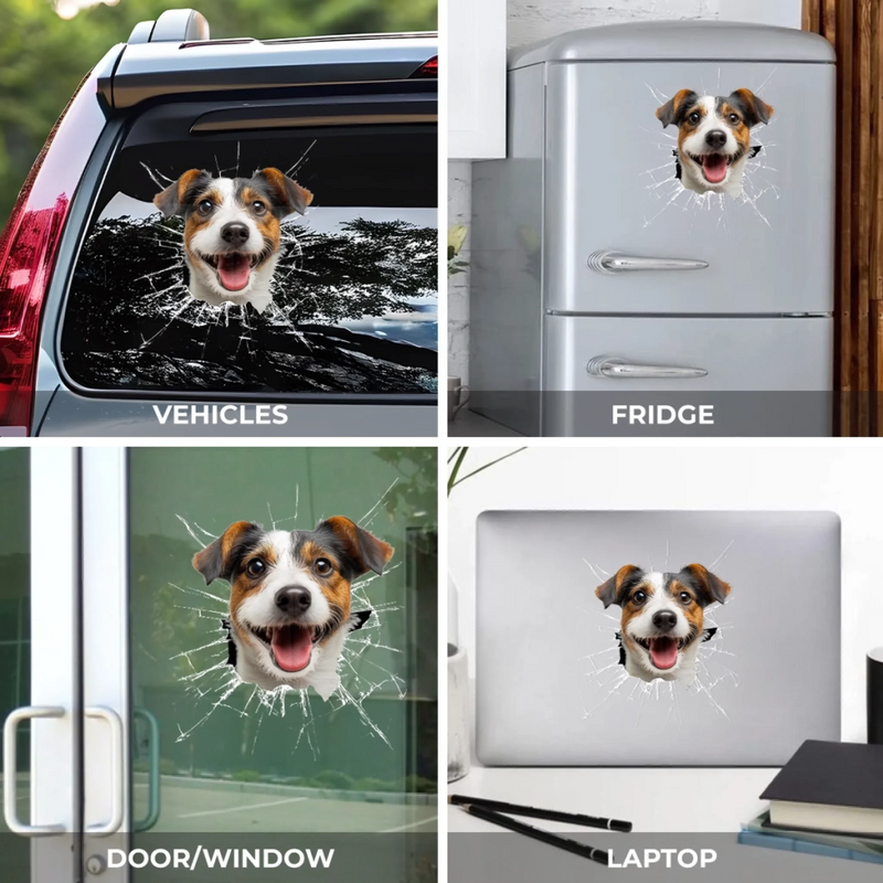 Personalized Photo RV Decal – Gifts For Dog Cat Lovers, Owners – Too Cool To Stay Inside
