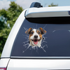 Personalized Photo RV Decal – Gifts For Dog Cat Lovers, Owners – Too Cool To Stay Inside