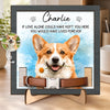 Personalized Photo Collar Frame - Sympathy Gift For Pet Lovers - Always Loved Never Forgotten