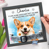 Personalized Photo Collar Frame - Sympathy Gift For Pet Lovers - Always Loved Never Forgotten