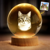 Personalized Photo Crystal Globe Lamp - Sympathy Gift For Pet Lovers - Memories Glow Eternal