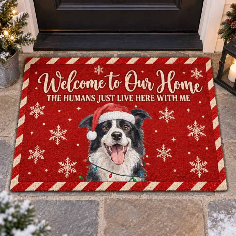Personalized Photo Home Decor Decorative Mat – Christmas Gift For Pet Lovers – Home Is Better With Paws