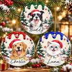 Custom Pet Christmas Keepsake - Personalized Ceramic Ornament -  Holiday Cheer With A Furry Twist