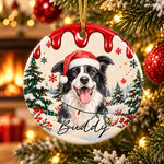 Custom Pet Christmas Keepsake - Personalized Ceramic Ornament -  Holiday Cheer With A Furry Twist
