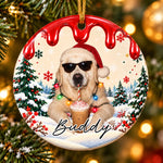Custom Photo Christmas Gifts for Pet Lovers - Personalized Ceramic Ornament