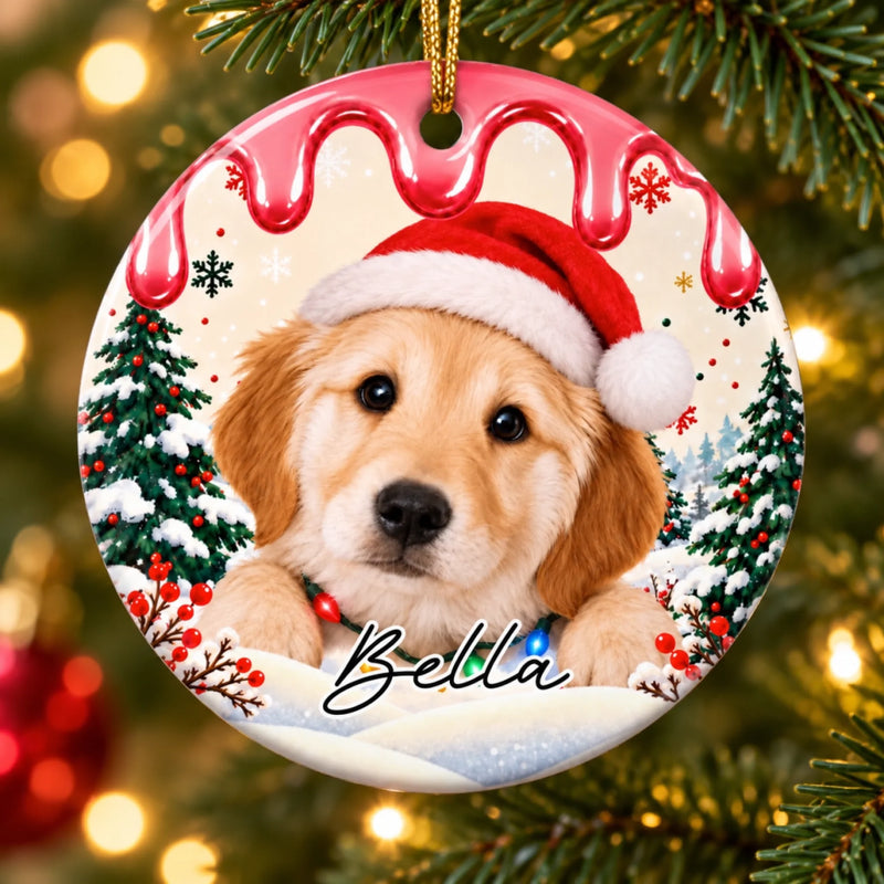 Custom Name Christmas Pet Gifts for Animal Lovers - Personalized Ceramic Ornament