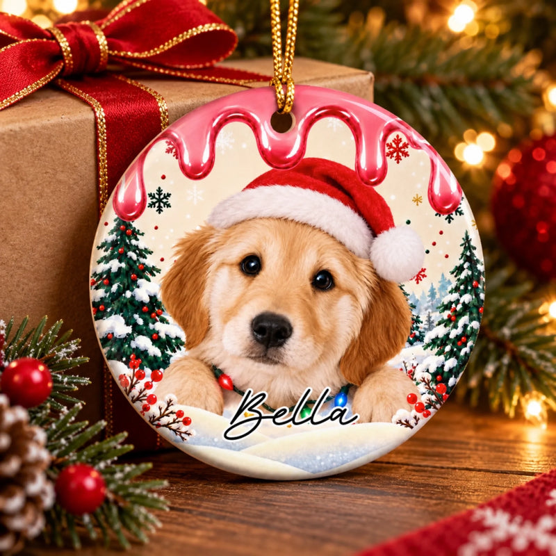 Custom Name Christmas Pet Gifts for Animal Lovers - Personalized Ceramic Ornament