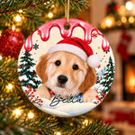 Custom Name Christmas Pet Gifts for Animal Lovers - Personalized Ceramic Ornament