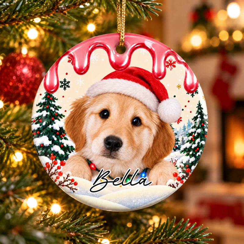 Custom Name Christmas Pet Gifts for Animal Lovers - Personalized Ceramic Ornament