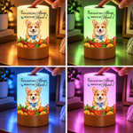 Custom Pet Memorial Keepsake Gifts - Personalized Photo Dimmable Touch Night Light - Forever in Our Hearts