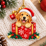 Christmas Gift Box Keepsake for Pet Lovers - Acrylic Ornament