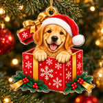 Christmas Gift Box Keepsake for Pet Lovers - Acrylic Ornament