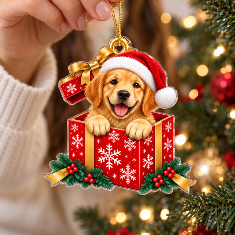 Christmas Gift Box Keepsake for Pet Lovers - Acrylic Ornament
