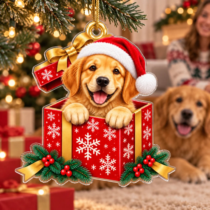 Christmas Gift Box Keepsake for Pet Lovers - Acrylic Ornament