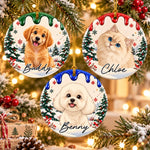 Custom Christmas Pet Portrait Keepsakes - Personalized Ceramic Ornament