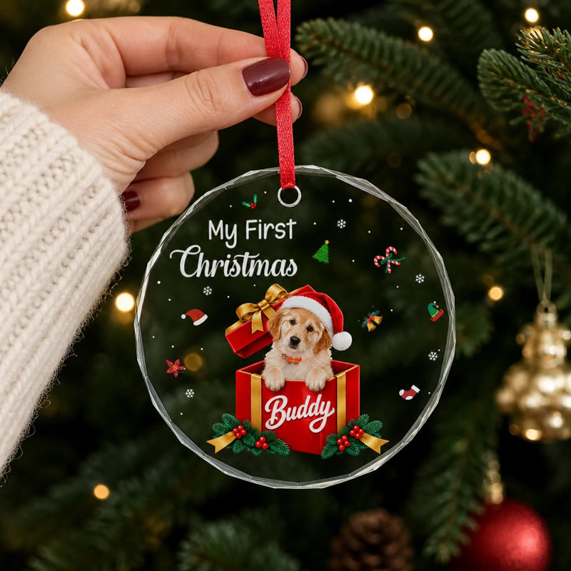 Custom Christmas Keepsake For Pet Lovers - Personalized Glass Ornament